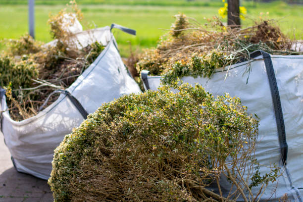 Best Shed Removal  in Tarpey Village, CA